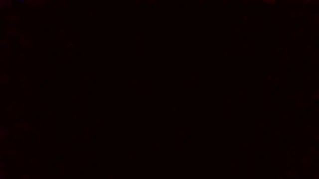 Tinny and Candy online show from 01.22.25