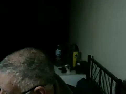 100Tauros online show from 04.08.26