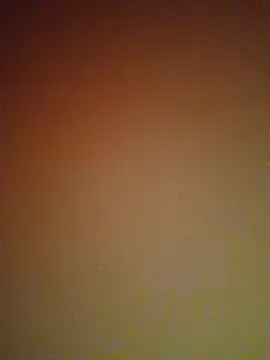 mendelicius online show from 02.27.25