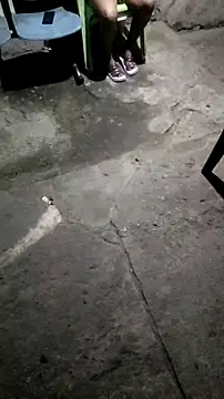 mendelicius online show from 11.11.25