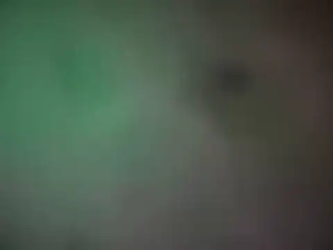 Snapshot of IncurvedHarbor chatting on 03.21.26 IncurvedHarbor online show from 03.21.26