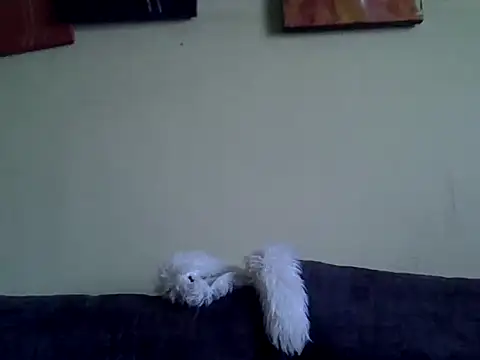 Snapshot of Delicious-D chatting on 02.10.26 Delicious-D online show from 02.10.26