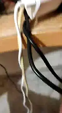 skrigul12 online show from 12.28.24