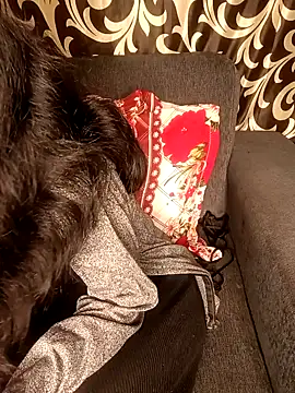 REVA DARLING online show from 01.11.25