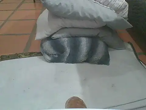 MrPatrick777 online show from 02.04.26