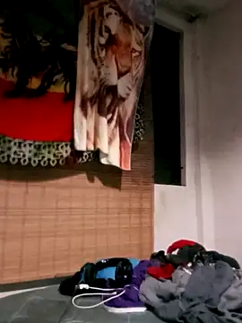 LECHEBALLS online show from 01.29.25