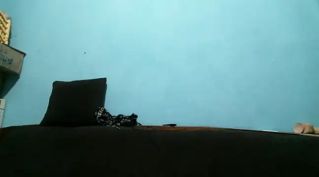 cocolicky online show from 03.08.25