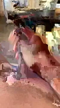 elber-gdo online show from 02.05.25