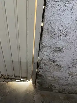 elber-gdo online show from 10.13.25