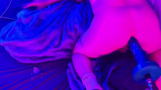 Snapshot of BJSchlect chatting on 03.02.26 BJSchlect online show from 03.02.26