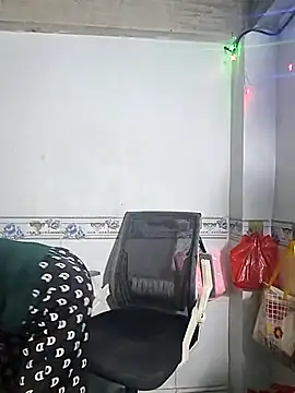 Snapshot of phnz chatting on 01.11.26 phnz online show from 01.11.26