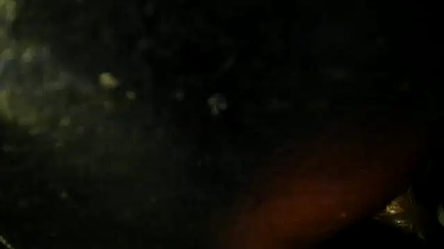 leatherz69 online show from 05.22.26