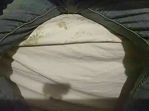 Snapshot of Tiger202441 chatting on 12.08.24 Tiger202441 online show from 12.08.24