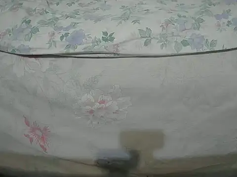 Snapshot of Tiger202441 chatting on 12.16.24 Tiger202441 online show from 12.16.24