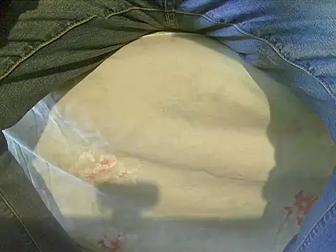 Snapshot of Tiger202441 chatting on 12.17.24 Tiger202441 online show from 12.17.24