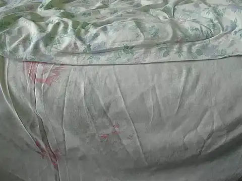 Snapshot of Tiger202441 chatting on 12.18.24 Tiger202441 online show from 12.18.24