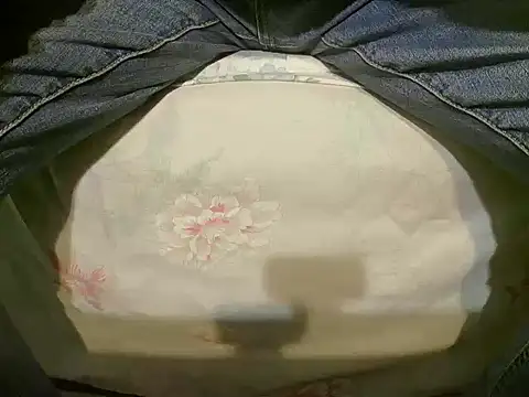 Snapshot of Tiger202441 chatting on 12.19.24 Tiger202441 online show from 12.19.24