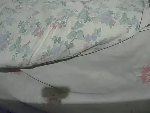 Snapshot of Tiger202441 chatting on 12.20.24 Tiger202441 online show from 12.20.24