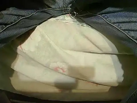 Snapshot of Tiger202441 chatting on 12.23.24 Tiger202441 online show from 12.23.24