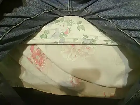 Snapshot of Tiger202441 chatting on 12.25.24 Tiger202441 online show from 12.25.24