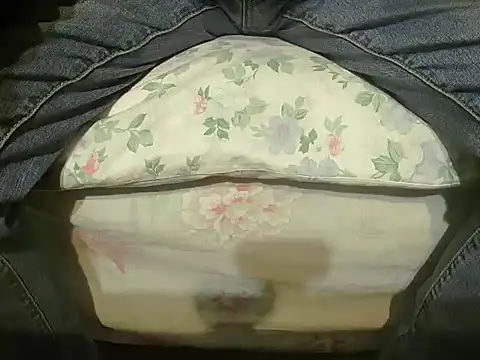 Snapshot of Tiger202441 chatting on 12.27.24 Tiger202441 online show from 12.27.24