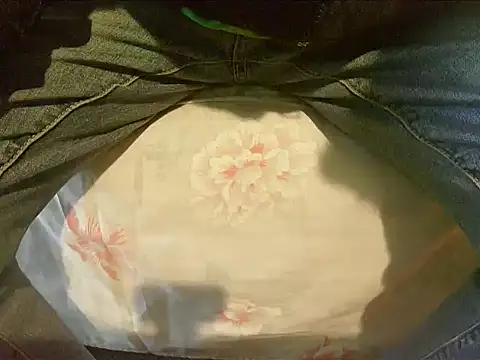 Snapshot of Tiger202441 chatting on 12.30.24 Tiger202441 online show from 12.30.24