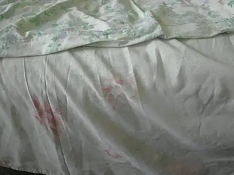 Snapshot of Tiger202441 chatting on 12.31.24 Tiger202441 online show from 12.31.24