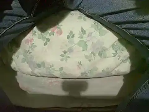 Snapshot of Tiger202441 chatting on 01.12.25 Tiger202441 online show from 01.12.25