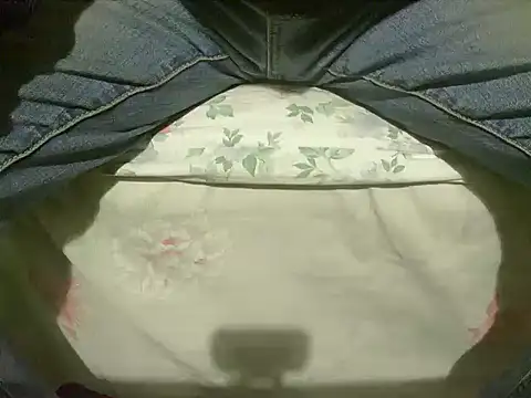 Snapshot of Tiger202441 chatting on 01.24.25 Tiger202441 online show from 01.24.25