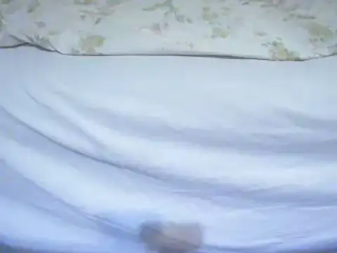 Snapshot of Tiger202441 chatting on 02.12.25 Tiger202441 online show from 02.12.25