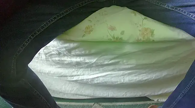 Snapshot of Tiger202441 chatting on 02.27.25 Tiger202441 online show from 02.27.25