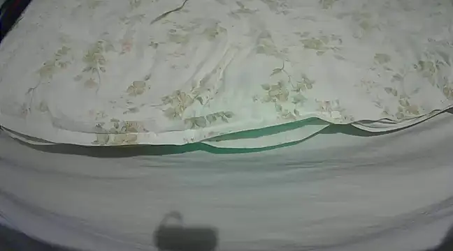 Snapshot of Tiger202441 chatting on 03.04.25 Tiger202441 online show from 03.04.25