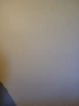 Steff8u online show from 04.06.26