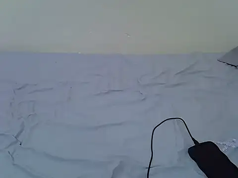 tasty piee online show from 10.25.25