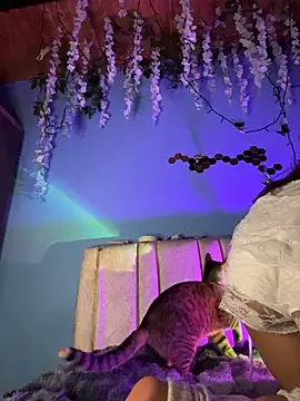 Lily candy X online show from 03.03.26