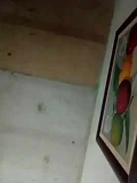 Alonsomadeira online show from 04.02.26