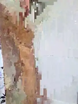 Snapshot of Yoko0381 chatting on 02.18.26 Yoko0381 online show from 02.18.26