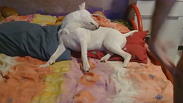 couplemilf2 online show from 12.06.24