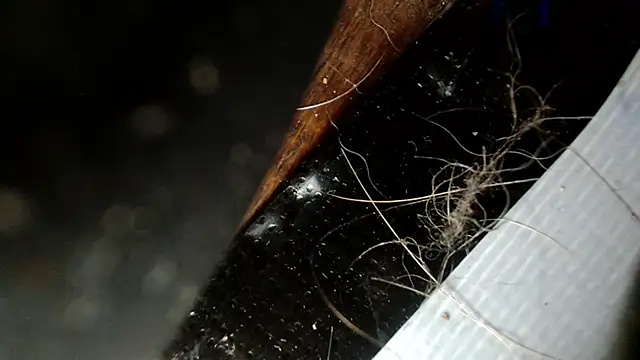 Gigadickman online show from 12.03.24