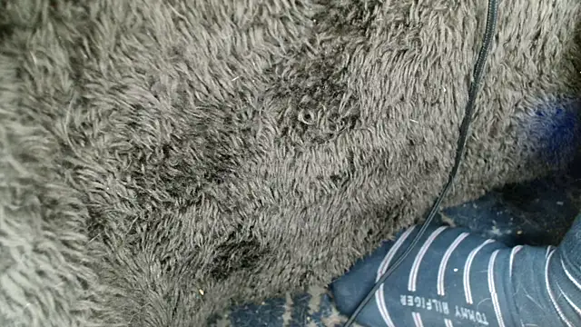 Gigadickman online show from 12.13.24