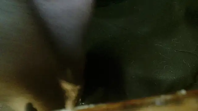 Gigadickman online show from 10.04.25