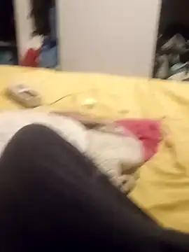 Snapshot of taradobbsafadok chatting on 10.25.25 taradobbsafadok online show from 10.25.25