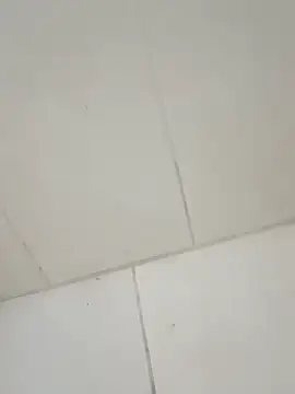 Snapshot of taradobbsafadok chatting on 12.01.25 taradobbsafadok online show from 12.01.25