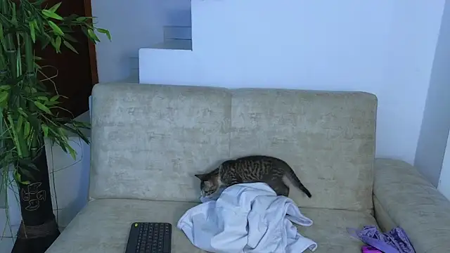 Snapshot of Lorenne_Miller chatting on 10.22.25 Lorenne Miller online show from 10.22.25