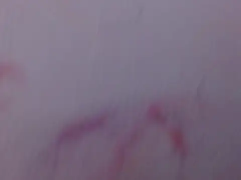 Snapshot of Mily_pao1 chatting on 02.18.26 Mily pao1 online show from 02.18.26