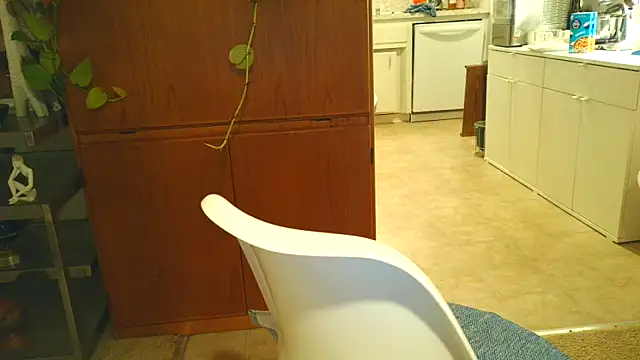 costanza7070 online show from 10.20.25