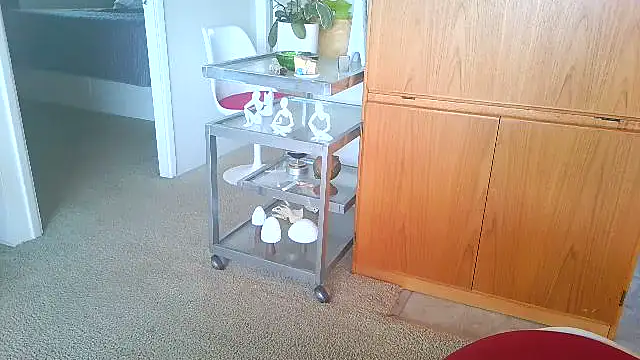 costanza7070 online show from 04.19.26