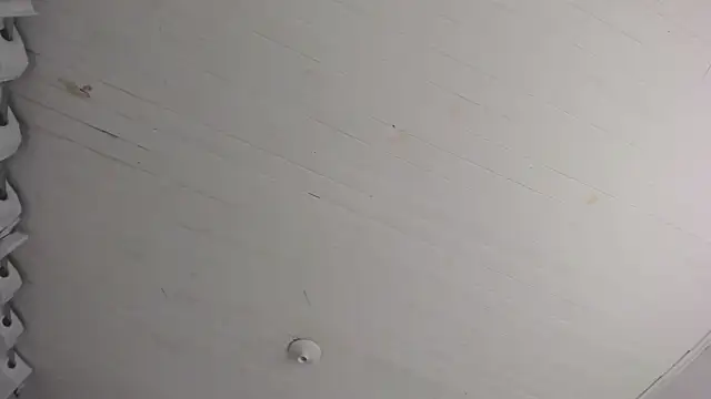 TiffanyWright online show from 11.29.25