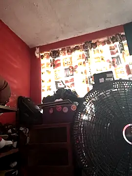 Snapshot of VL25DN26 chatting on 11.07.25 VL25DN26 online show from 11.07.25