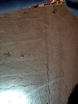 VL25DN26 online show from 02.11.26